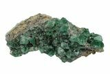Fluorescent Green Fluorite Cluster - Rogerley Mine, England #173998-1